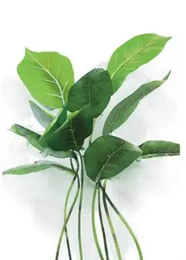 Fönsterdekal - Grön växtdesign - Fonsterdekal